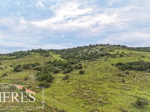 Campo de 32 ha panorámico con arroyo en Maldonado — foto 2