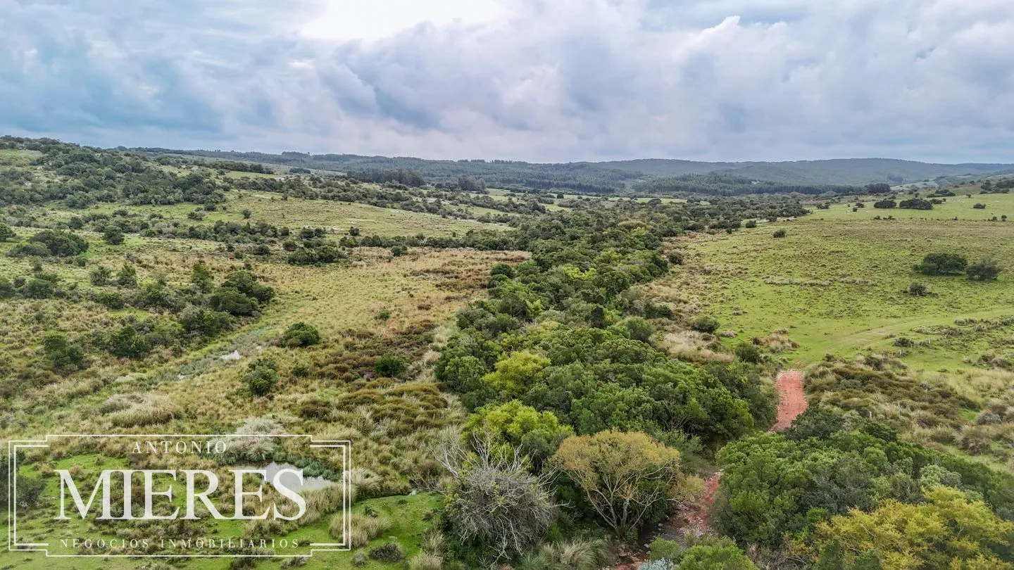 Campo de 32 ha panorámico con arroyo en Maldonado — foto 3