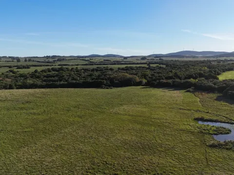 Chacra en venta de 7 ha con casa y arroyo — foto 4