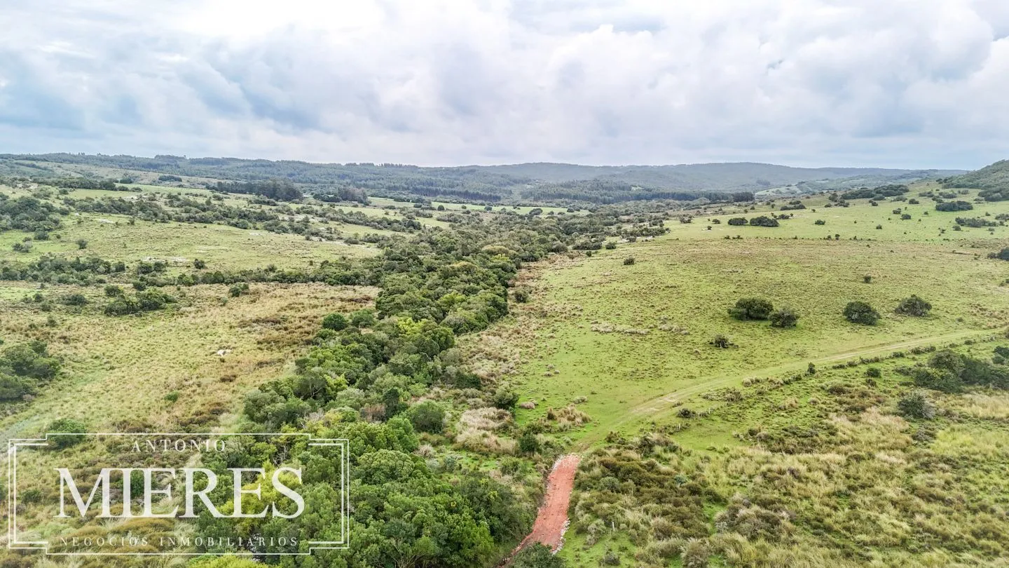 Campo de 32 ha panorámico con arroyo en Maldonado — foto 4