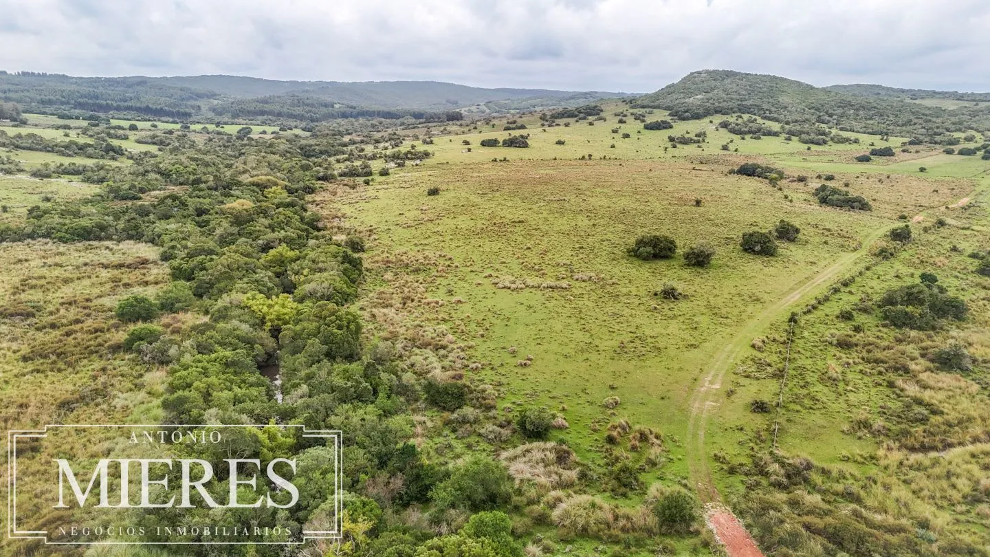 Campo de 32 ha panorámico con arroyo en Maldonado — foto 5