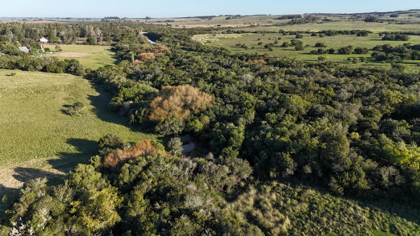 Chacra en venta de 7 ha con casa y arroyo — foto 6