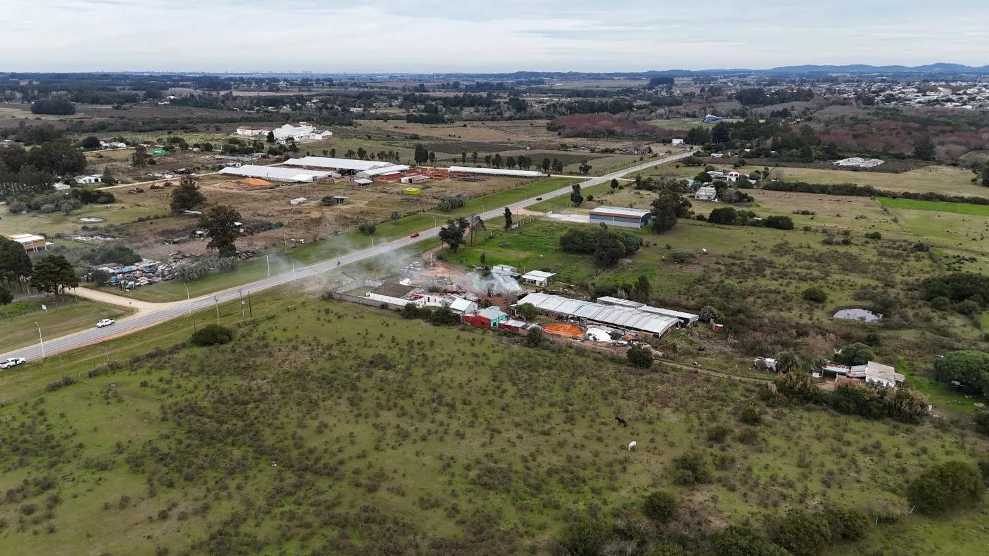 Terreno Logístico en San Carlos; Maldonado Uruguay — foto 6