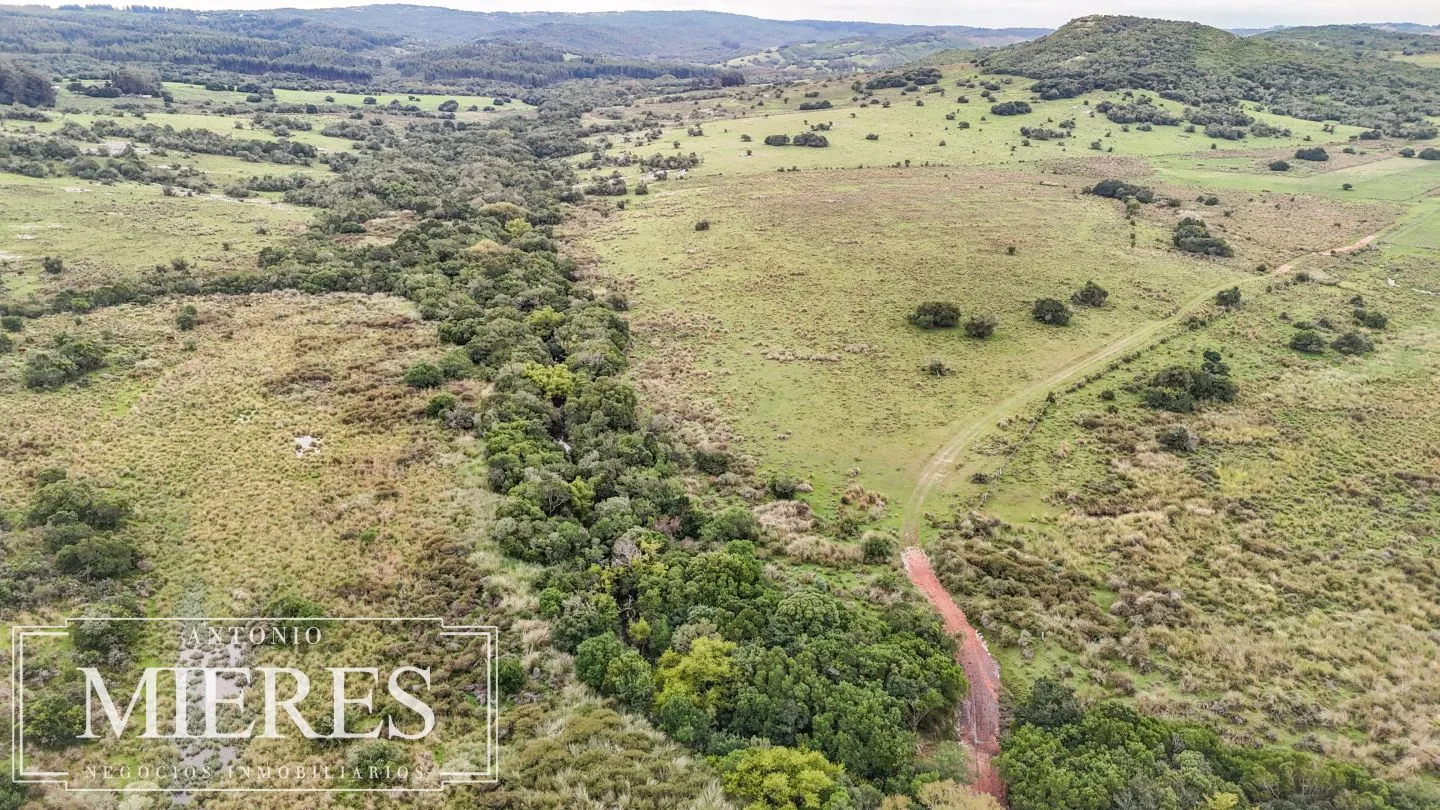 Campo de 32 ha panorámico con arroyo en Maldonado — foto 6