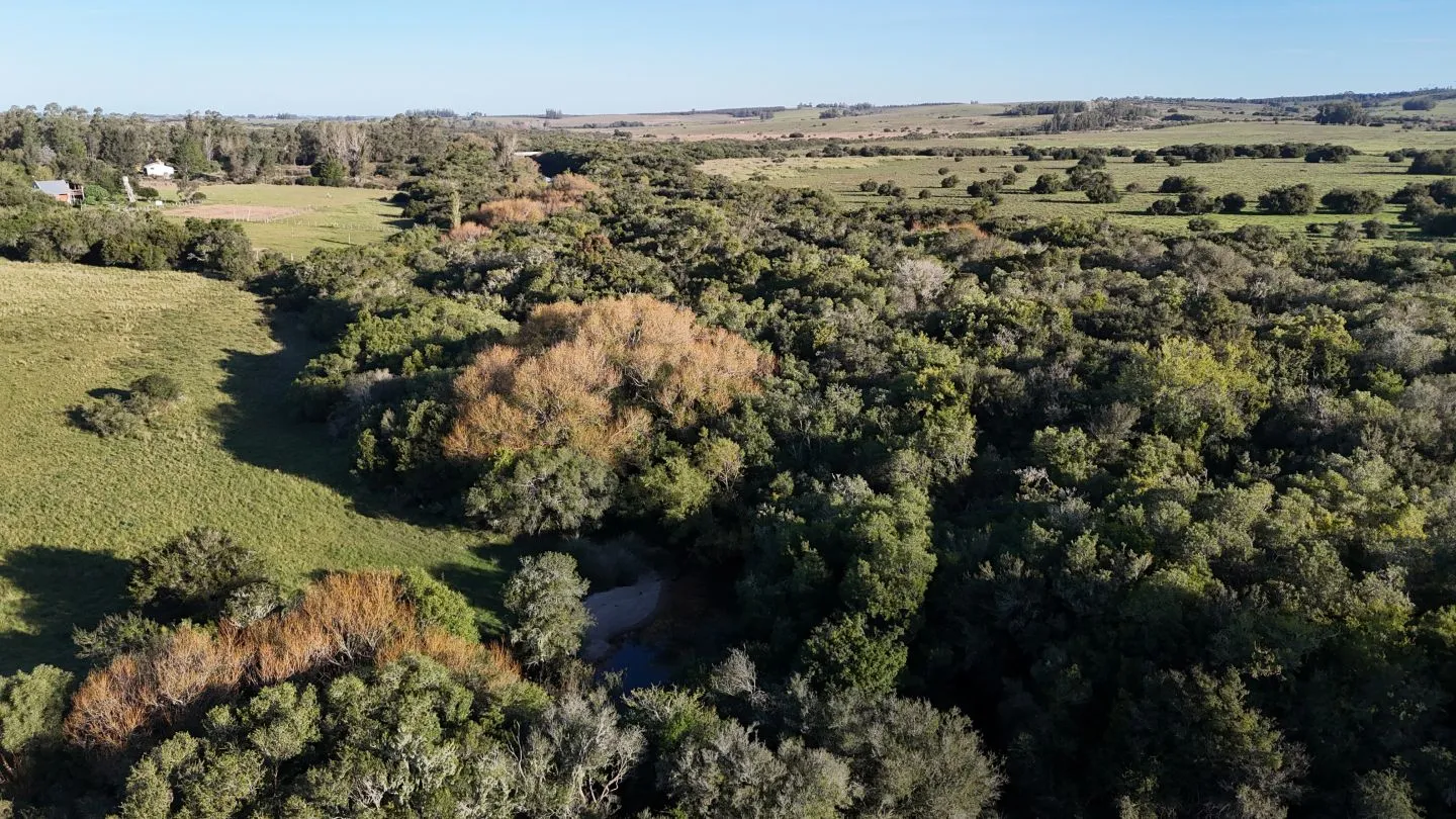 Chacra en venta de 7 ha con casa y arroyo — foto 7