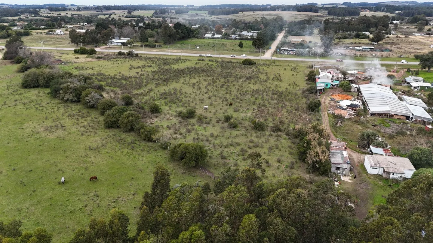 Terreno Logístico en San Carlos; Maldonado Uruguay — foto 8