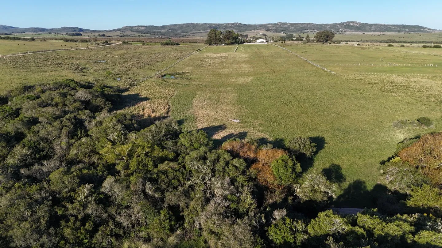 Chacra en venta de 7 ha con casa y arroyo — foto 8
