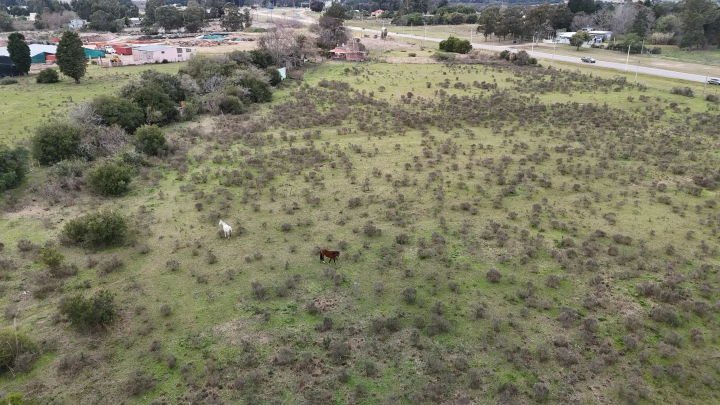 Terreno Logístico en San Carlos; Maldonado Uruguay — foto 10