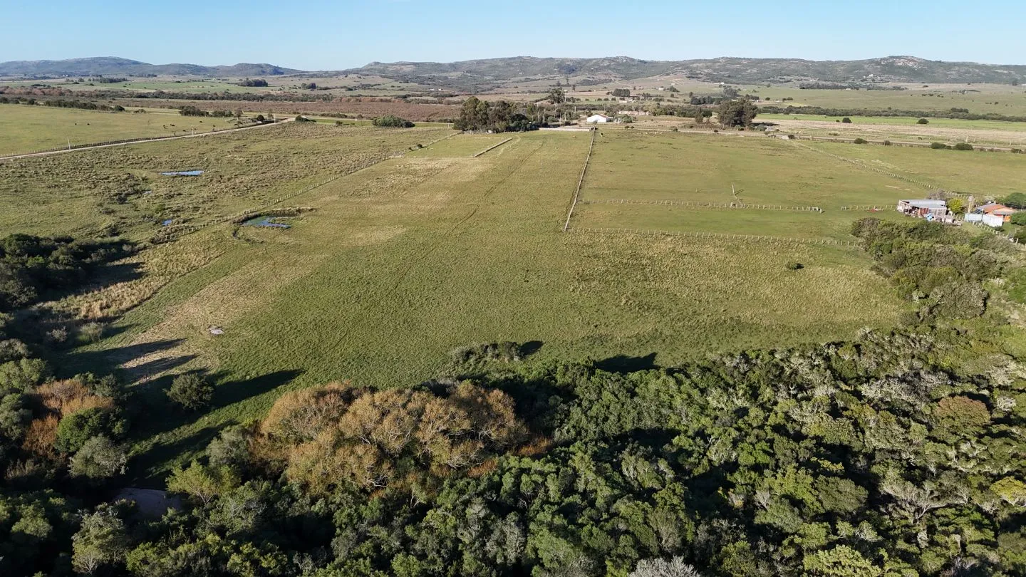 Chacra en venta de 7 ha con casa y arroyo — foto 9