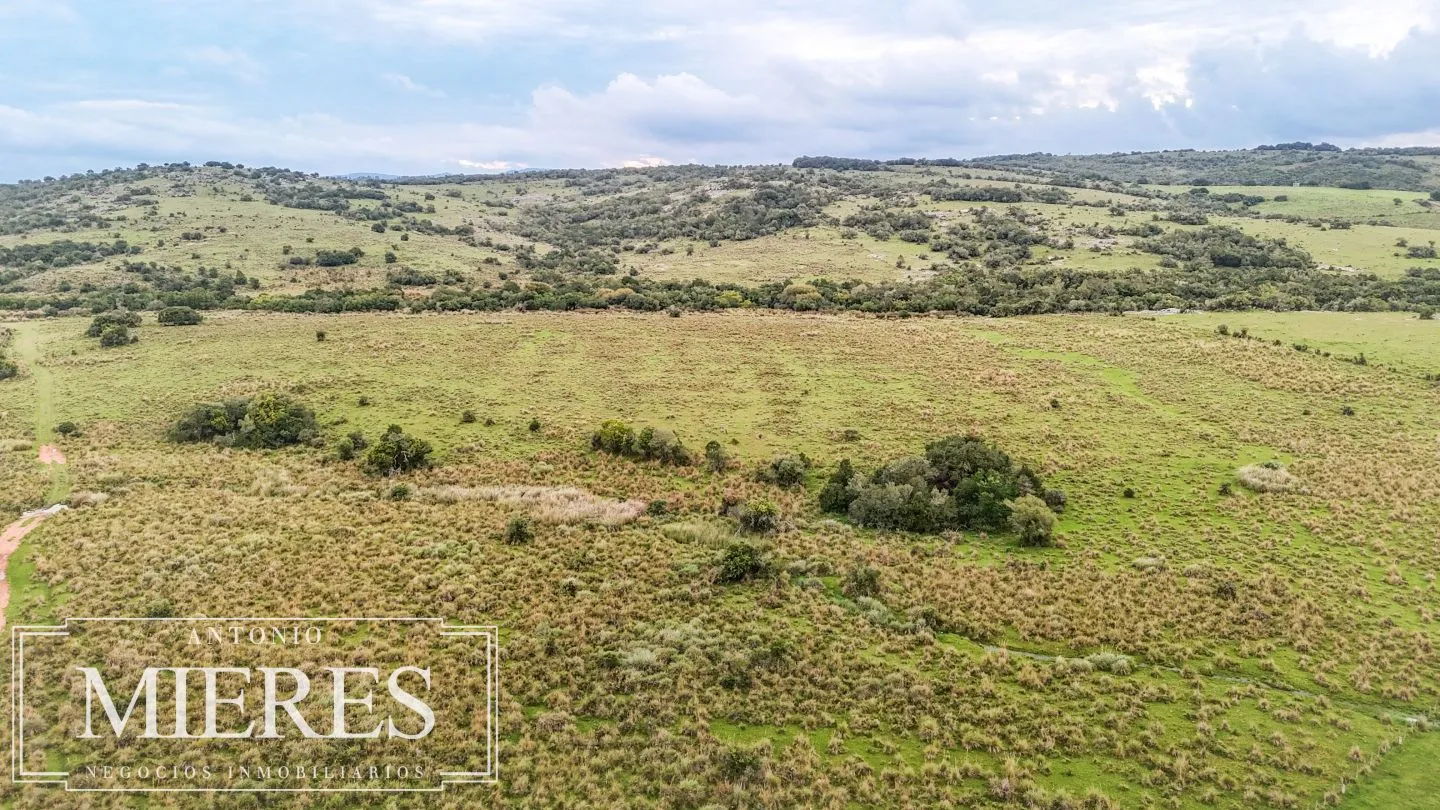 Campo de 32 ha panorámico con arroyo en Maldonado — foto 8