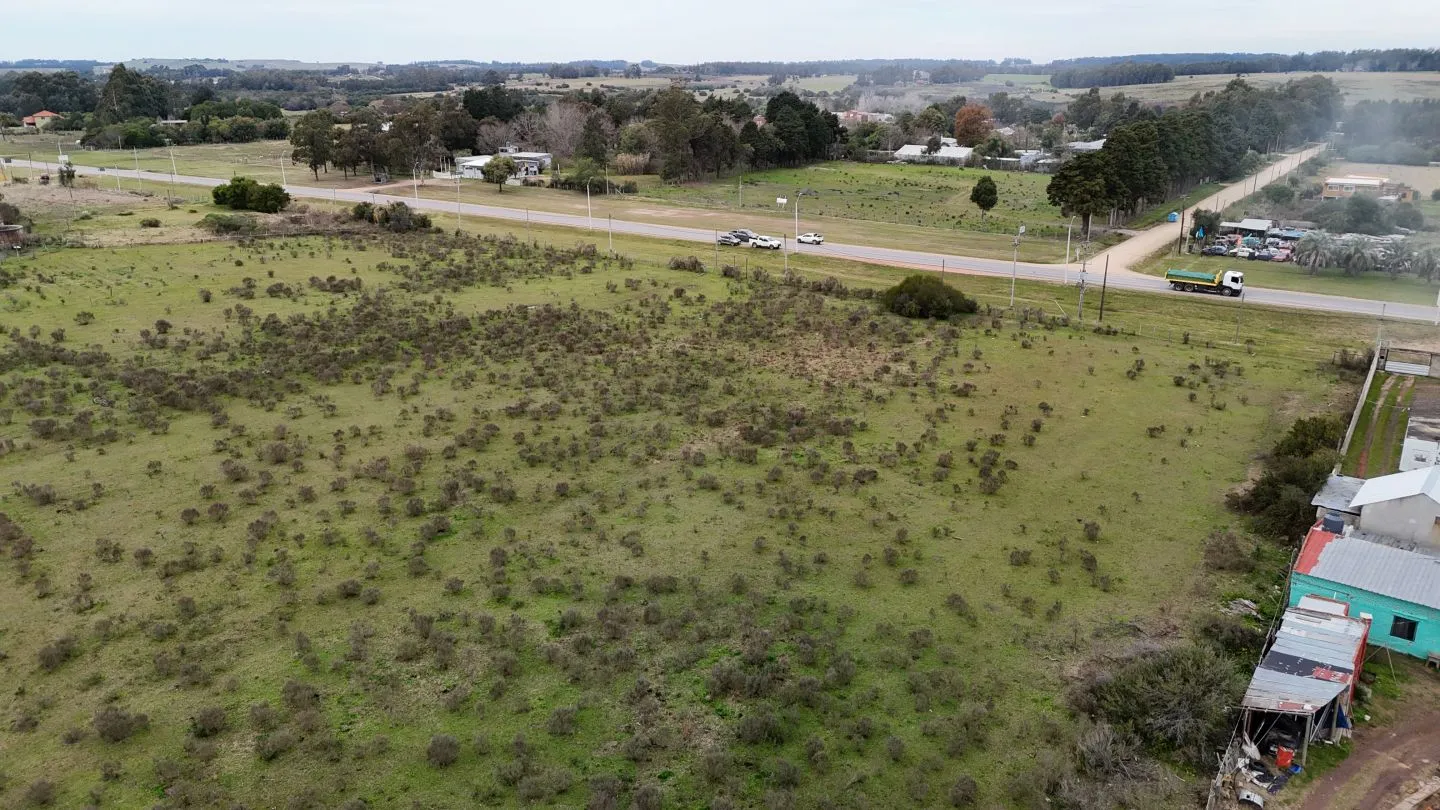 Terreno Logístico en San Carlos; Maldonado Uruguay — foto 11