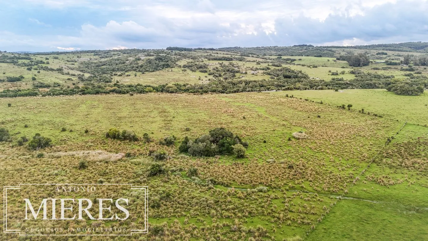 Campo de 32 ha panorámico con arroyo en Maldonado — foto 9
