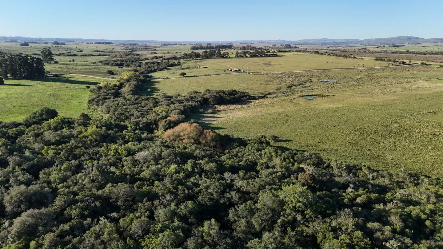 Chacra en venta de 7 ha con casa y arroyo — foto 10