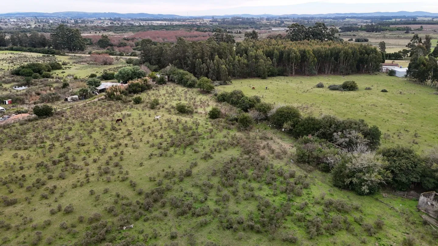 Terreno Logístico en San Carlos; Maldonado Uruguay — foto 12