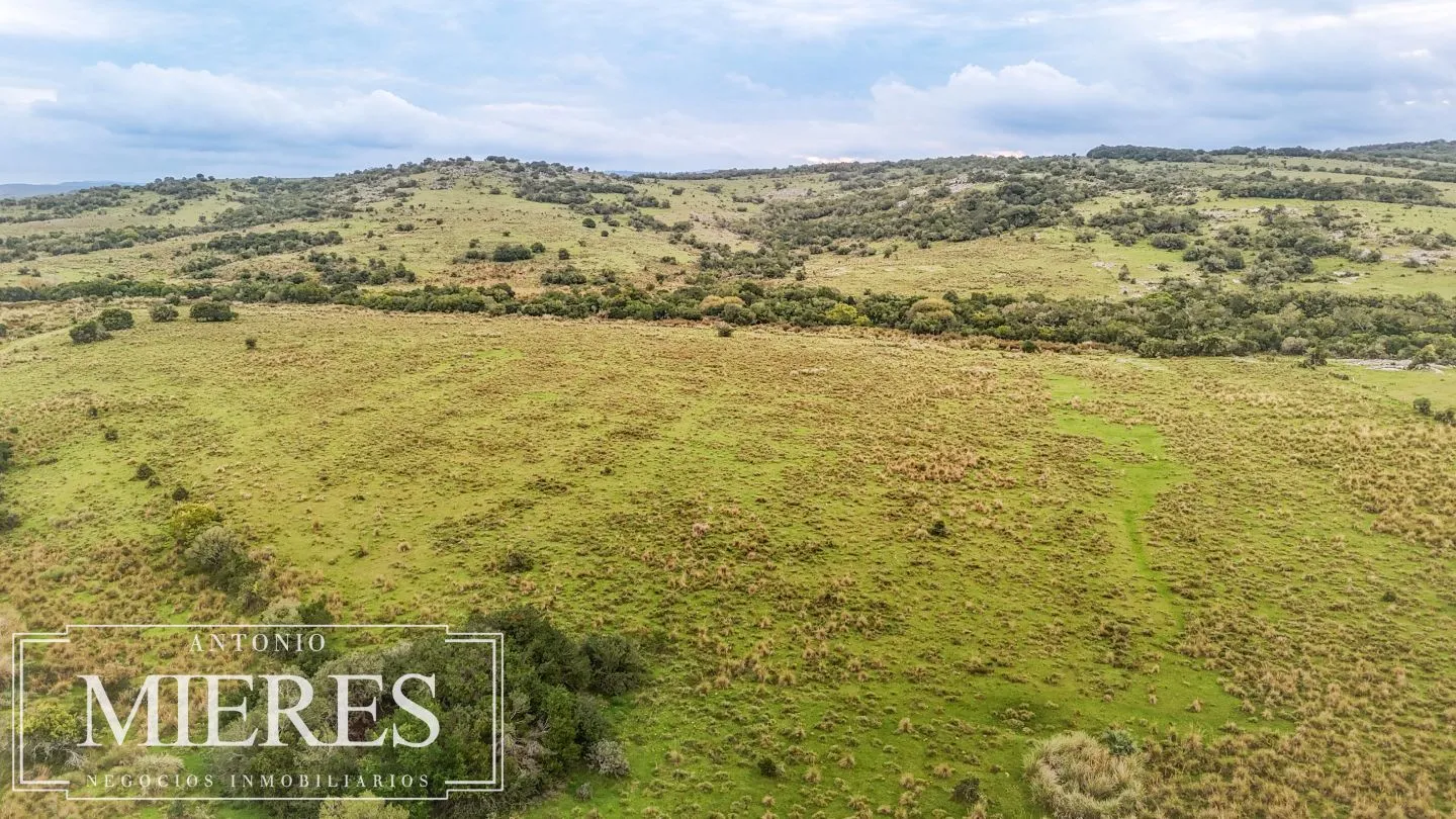 Campo de 32 ha panorámico con arroyo en Maldonado — foto 10