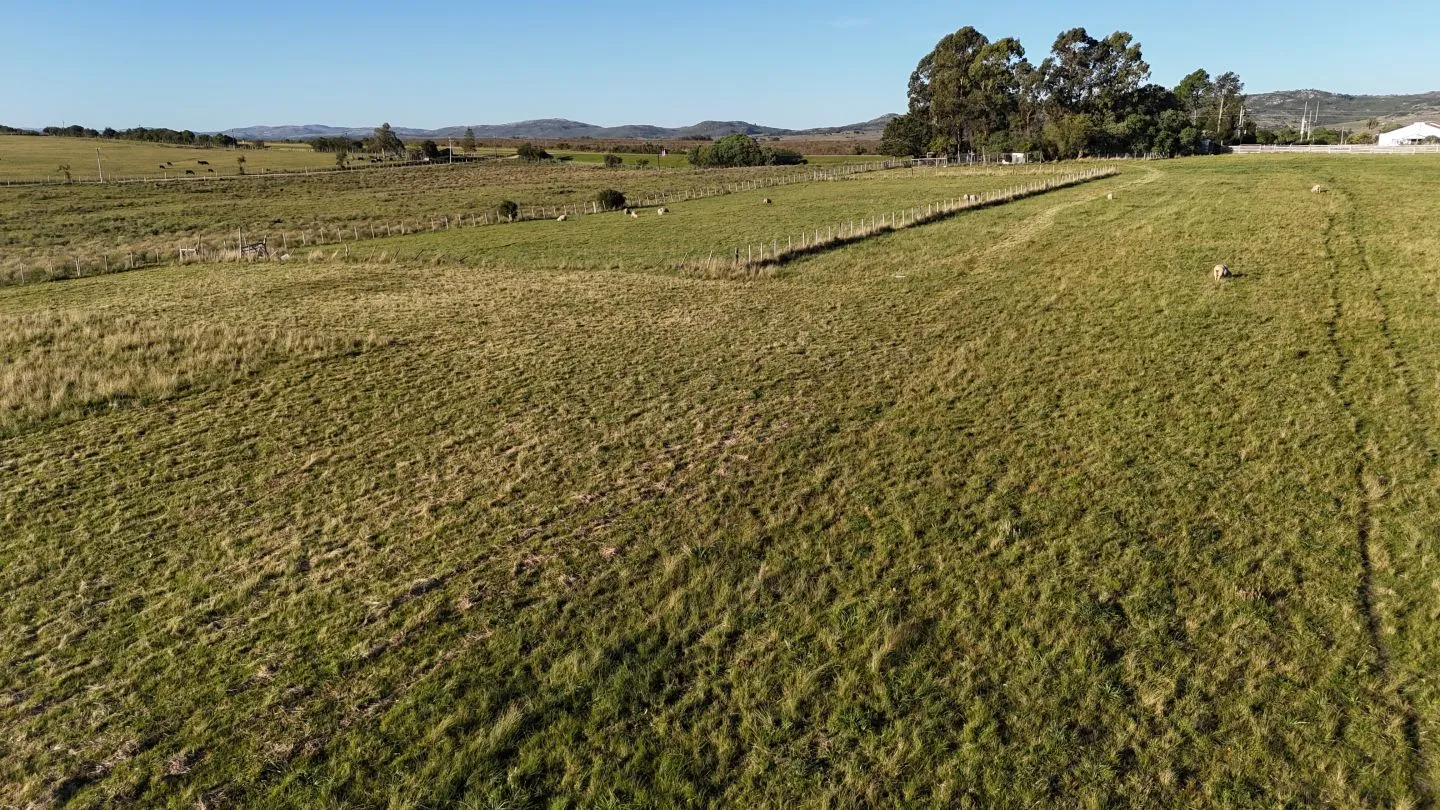 Chacra en venta de 7 ha con casa y arroyo — foto 11