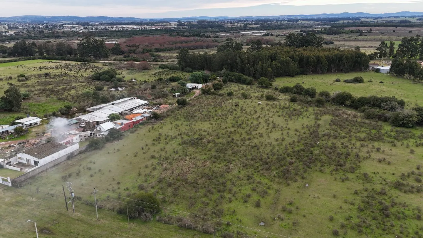 Terreno Logístico en San Carlos; Maldonado Uruguay — foto 14