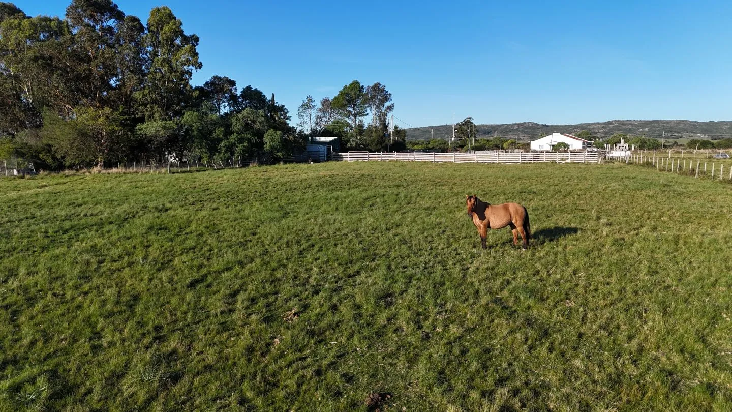 Chacra en venta de 7 ha con casa y arroyo — foto 12