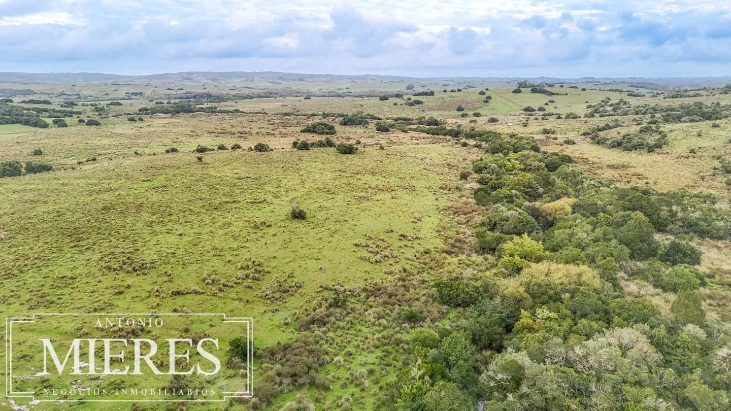 Campo de 32 ha panorámico con arroyo en Maldonado — foto 12