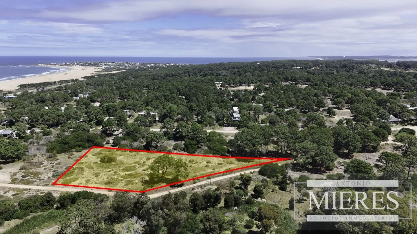 LOTE  EN VENTA ARENAS DE JOSE IGNACIO — foto 1