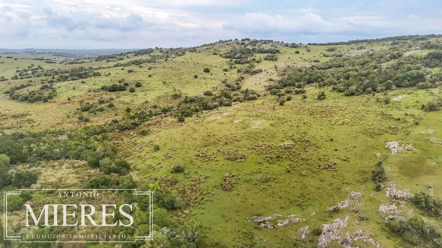 Campo de 32 ha panorámico con arroyo en Maldonado — foto 13
