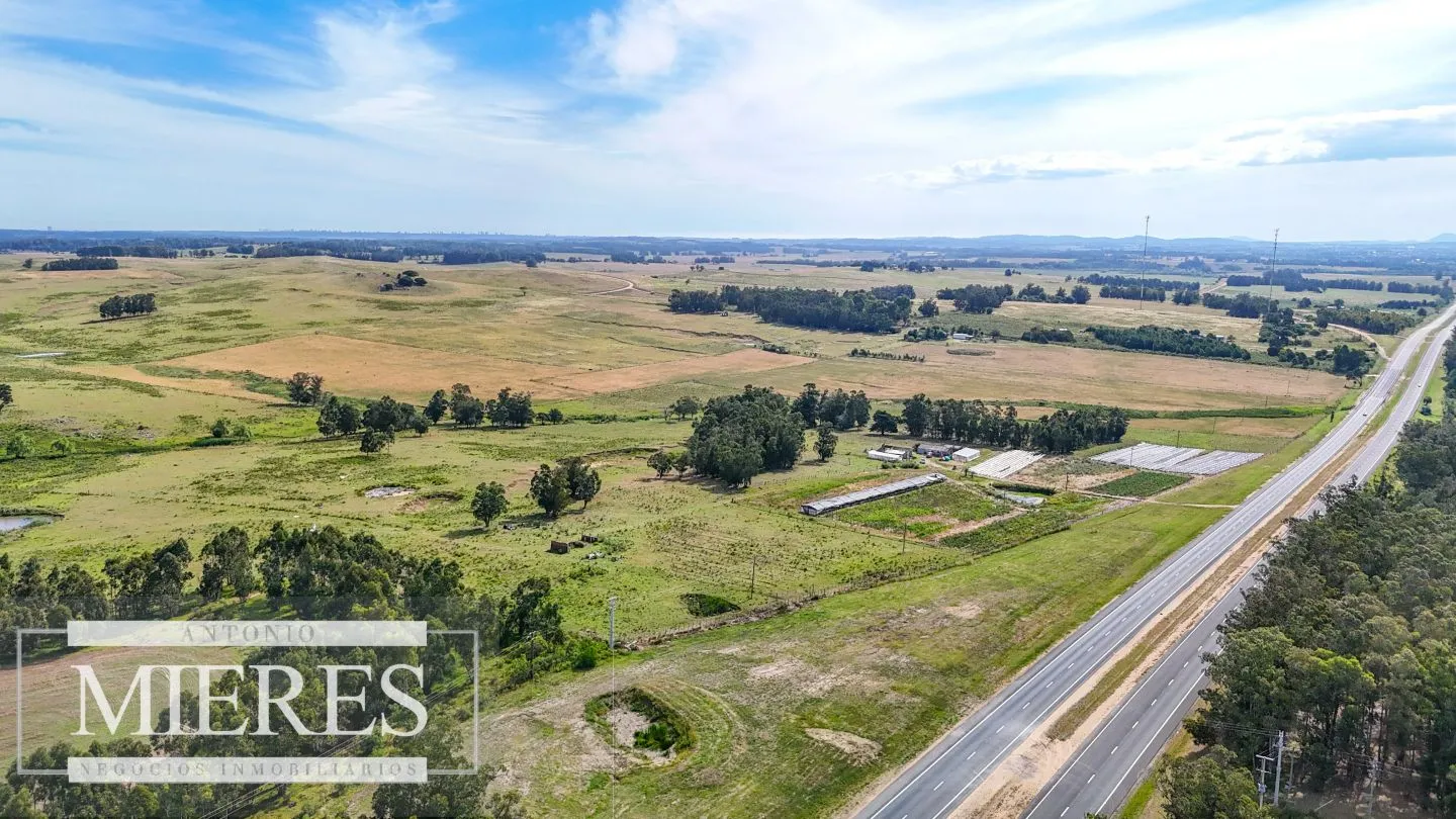 Campo en venta de 59 ha sobre ruta 9 a 15 min de José Ignacio — foto 1