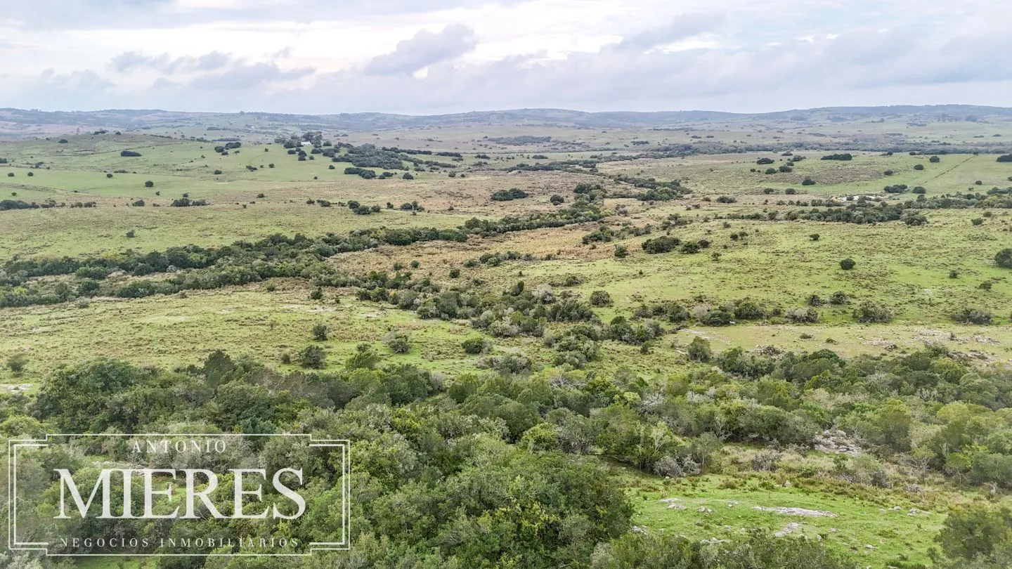 Campo de 32 ha panorámico con arroyo en Maldonado — foto 15