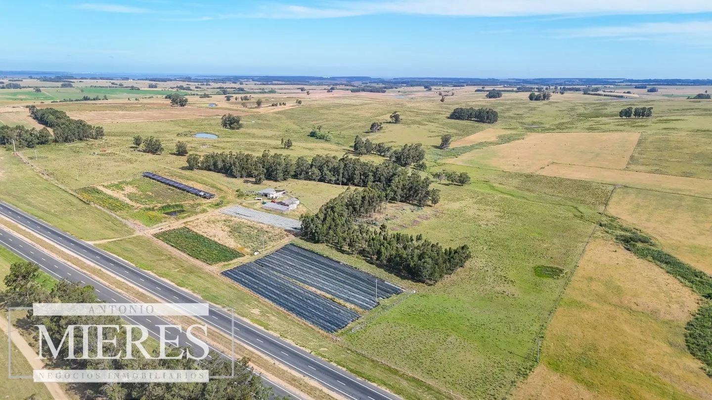 Campo en venta de 59 ha sobre ruta 9 a 15 min de José Ignacio — foto 2