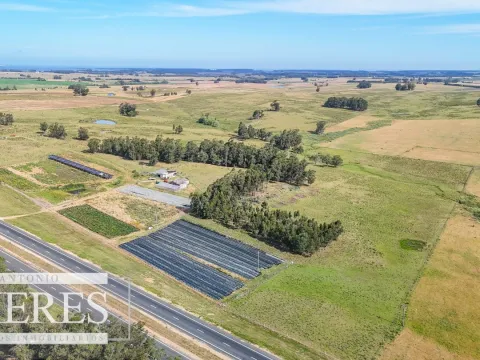 Campo en venta de 59 ha sobre ruta 9 a 15 min de José Ignacio — foto 2
