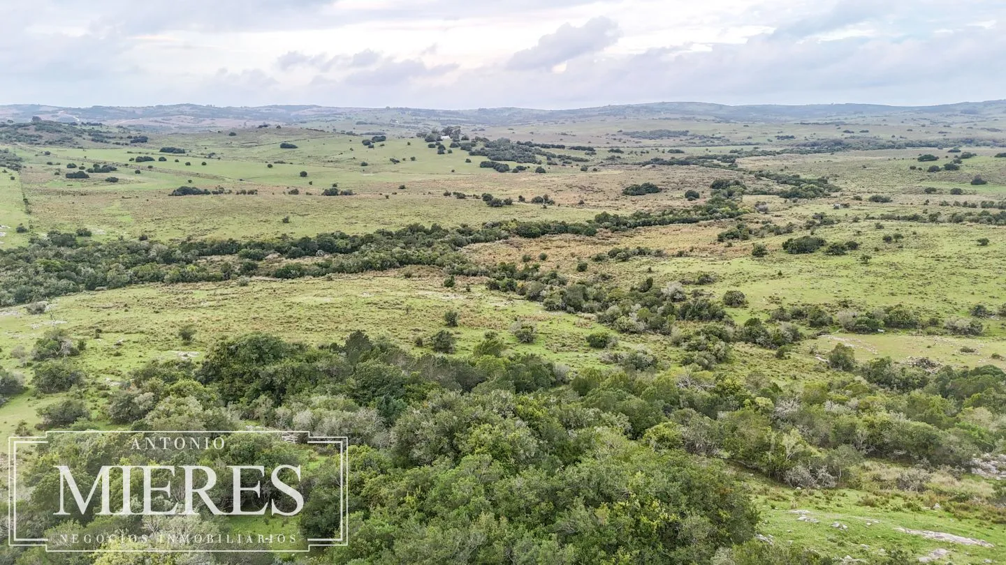 Campo de 32 ha panorámico con arroyo en Maldonado — foto 16