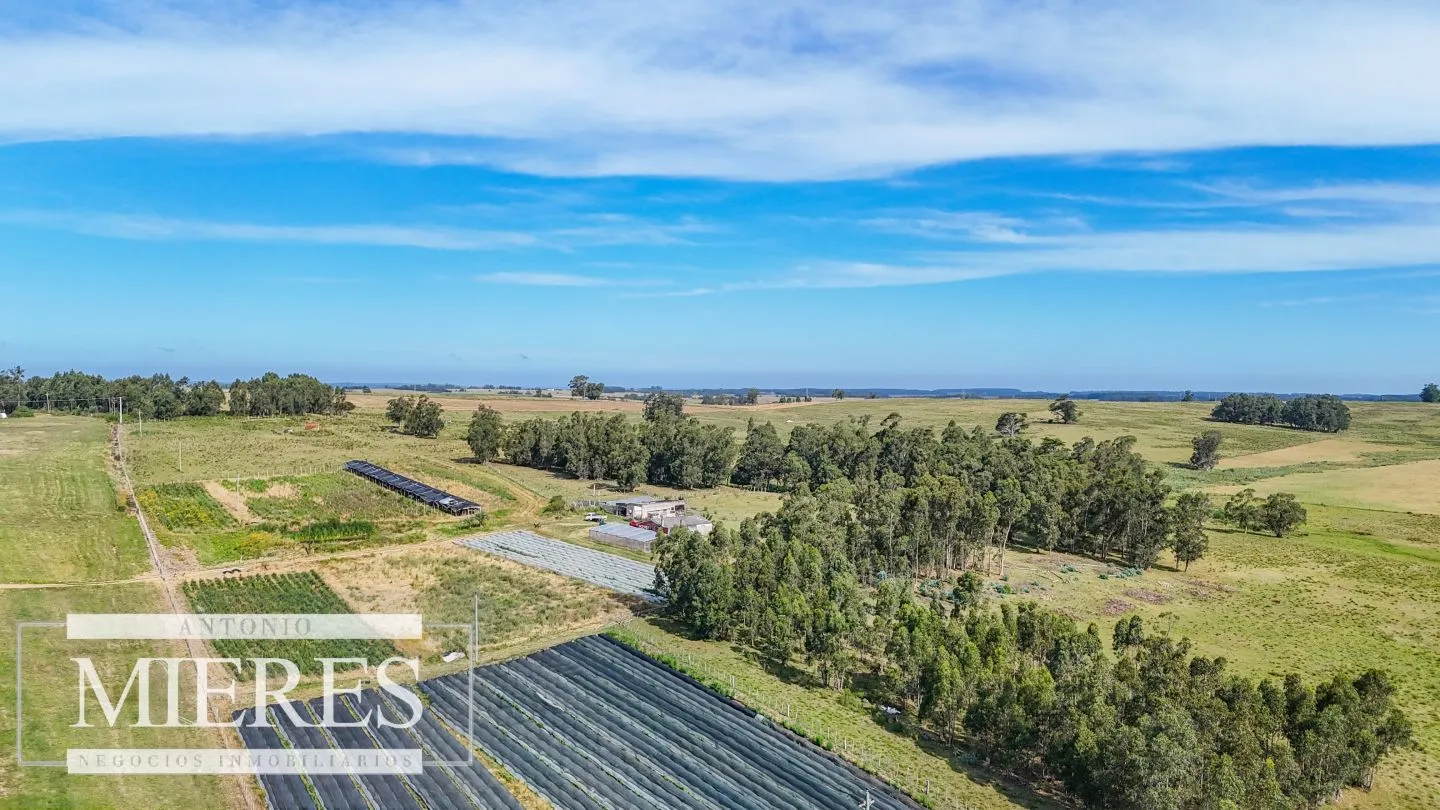 Campo en venta de 59 ha sobre ruta 9 a 15 min de José Ignacio — foto 3