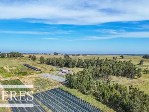 Campo en venta de 59 ha sobre ruta 9 a 15 min de José Ignacio — foto 3