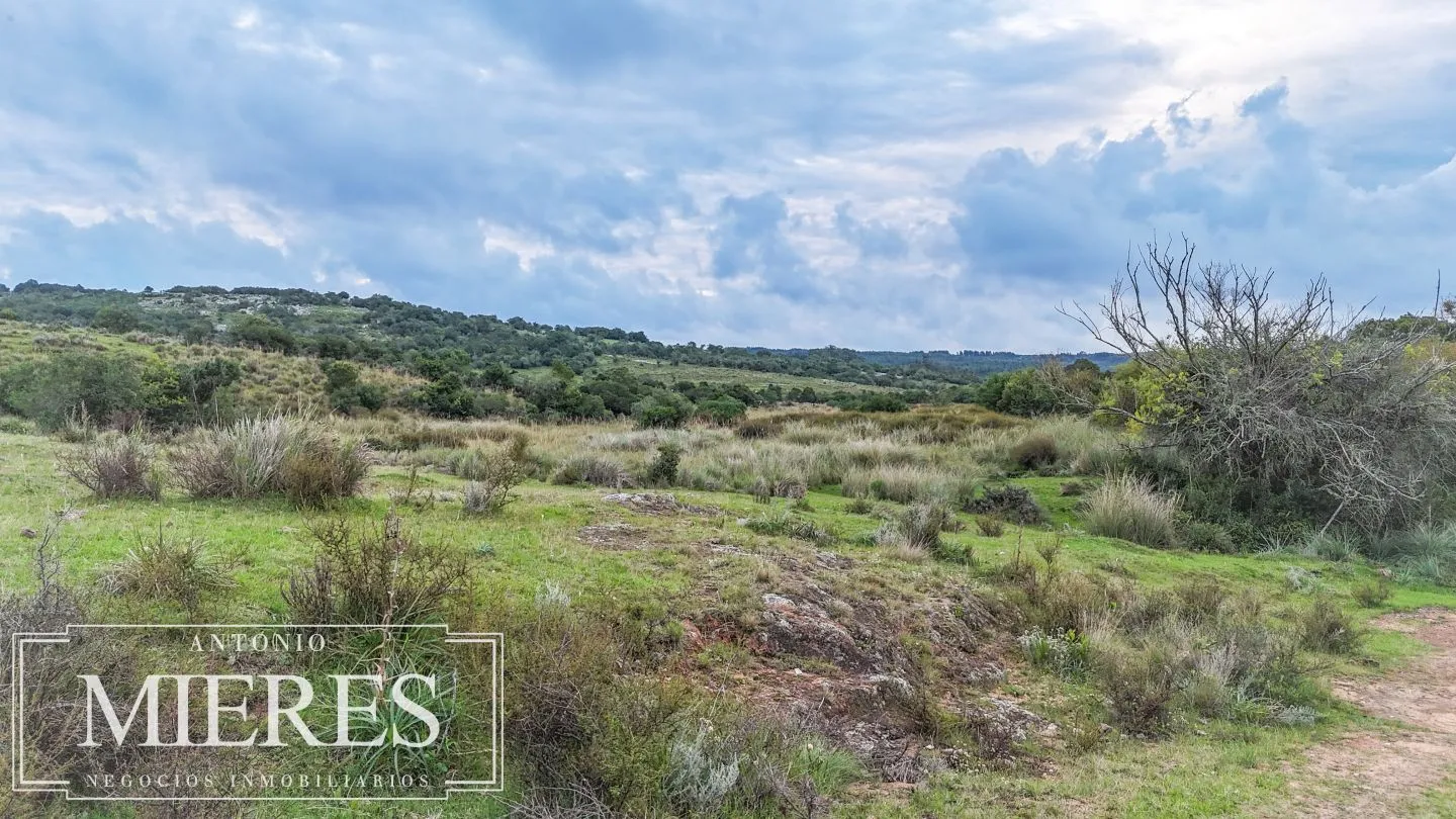 Campo de 32 ha panorámico con arroyo en Maldonado — foto 17