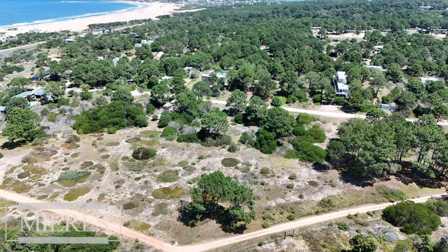 LOTE  EN VENTA ARENAS DE JOSE IGNACIO — foto 6