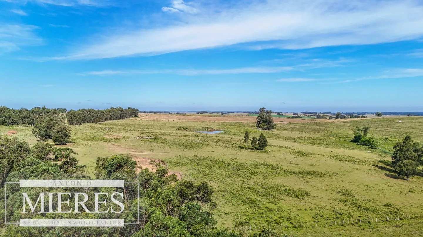 Campo en venta de 59 ha sobre ruta 9 a 15 min de José Ignacio — foto 4