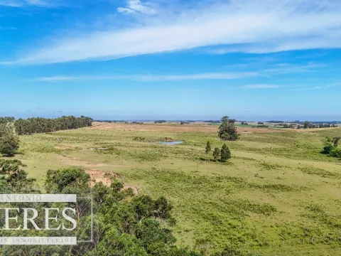 Campo en venta de 59 ha sobre ruta 9 a 15 min de José Ignacio — foto 4