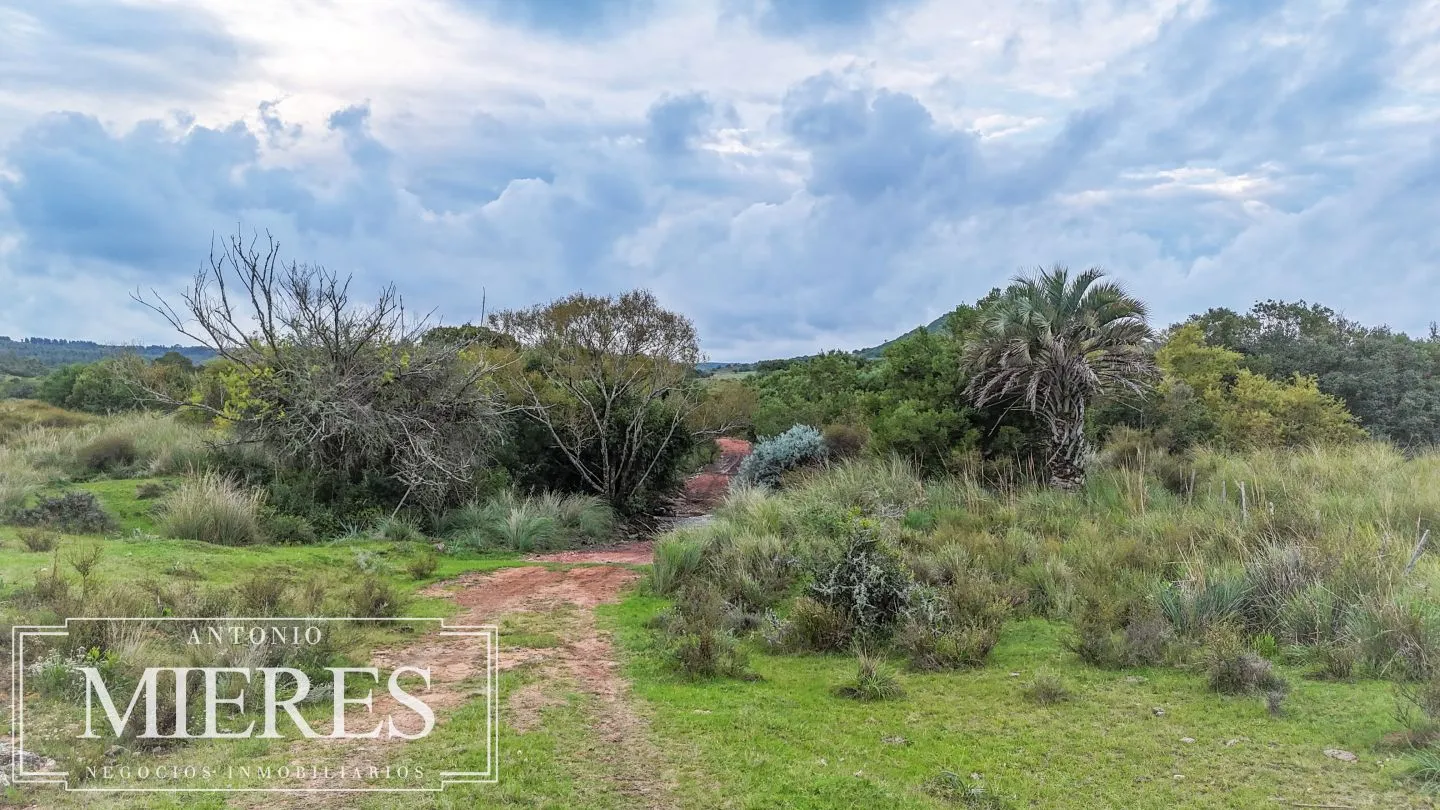 Campo de 32 ha panorámico con arroyo en Maldonado — foto 18