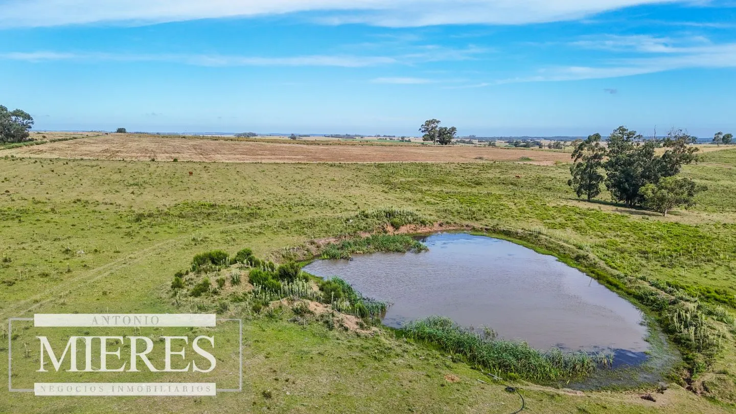 Campo en venta de 59 ha sobre ruta 9 a 15 min de José Ignacio — foto 5