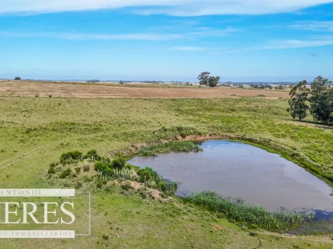 Campo en venta de 59 ha sobre ruta 9 a 15 min de José Ignacio — foto 5