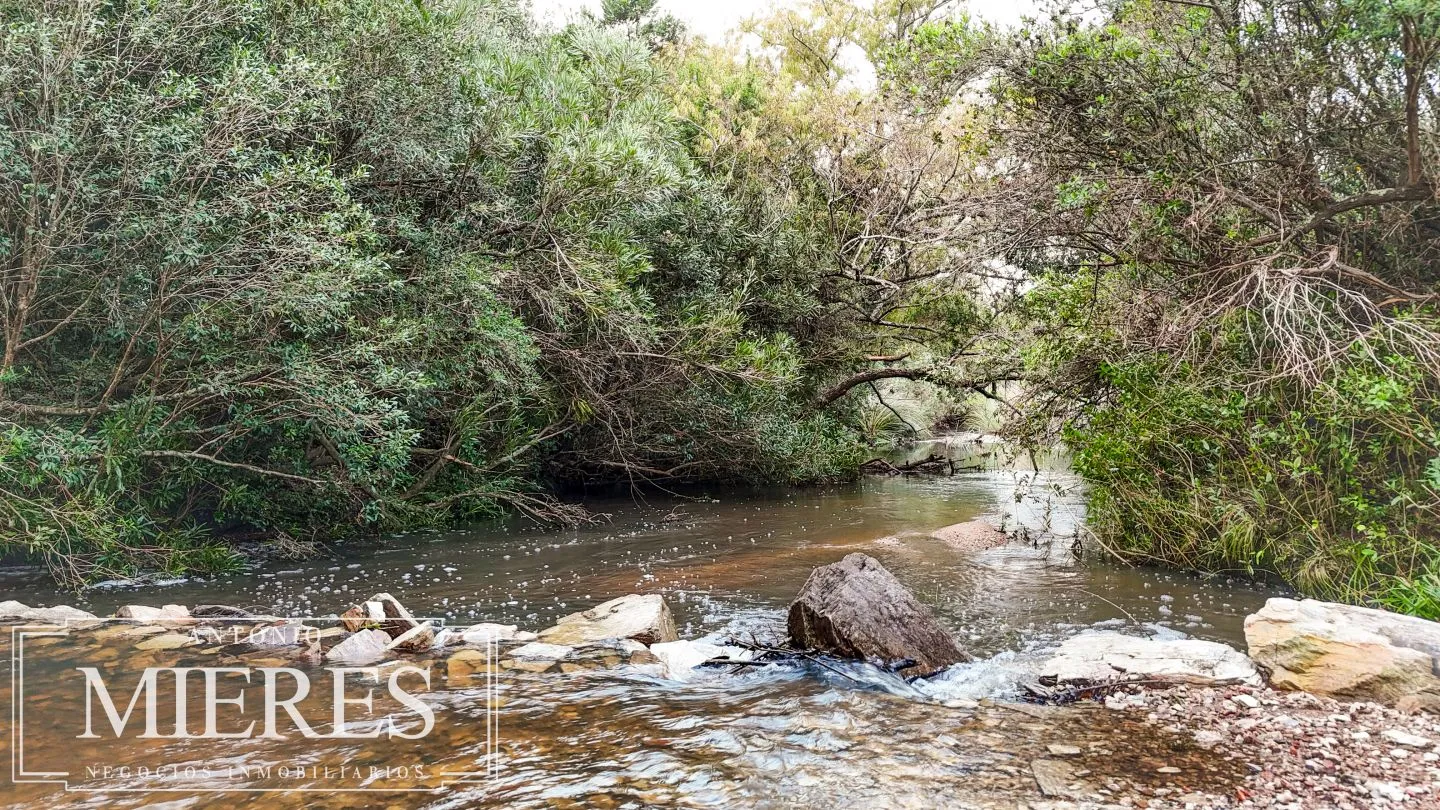 Campo de 32 ha panorámico con arroyo en Maldonado — foto 19