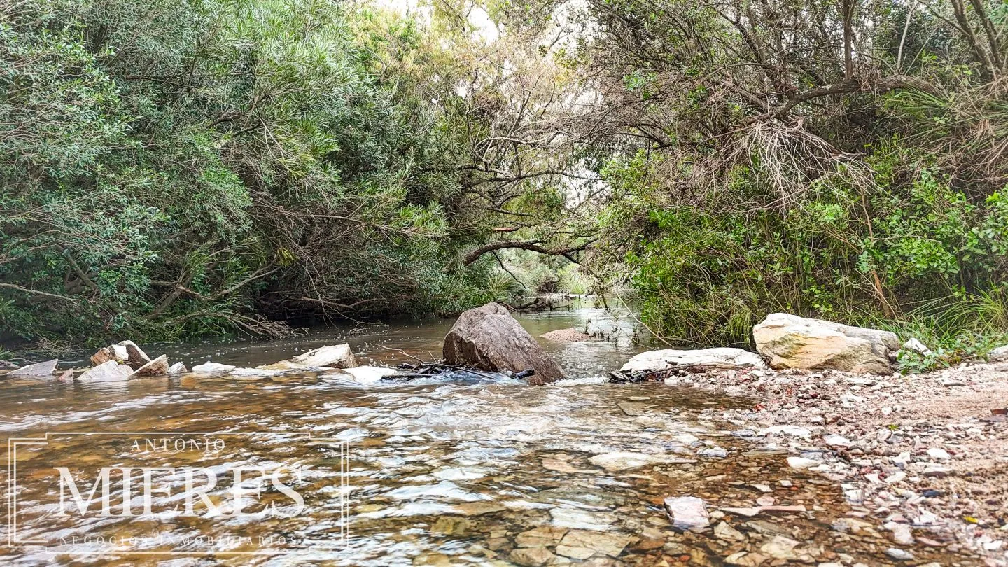 Campo de 32 ha panorámico con arroyo en Maldonado — foto 20