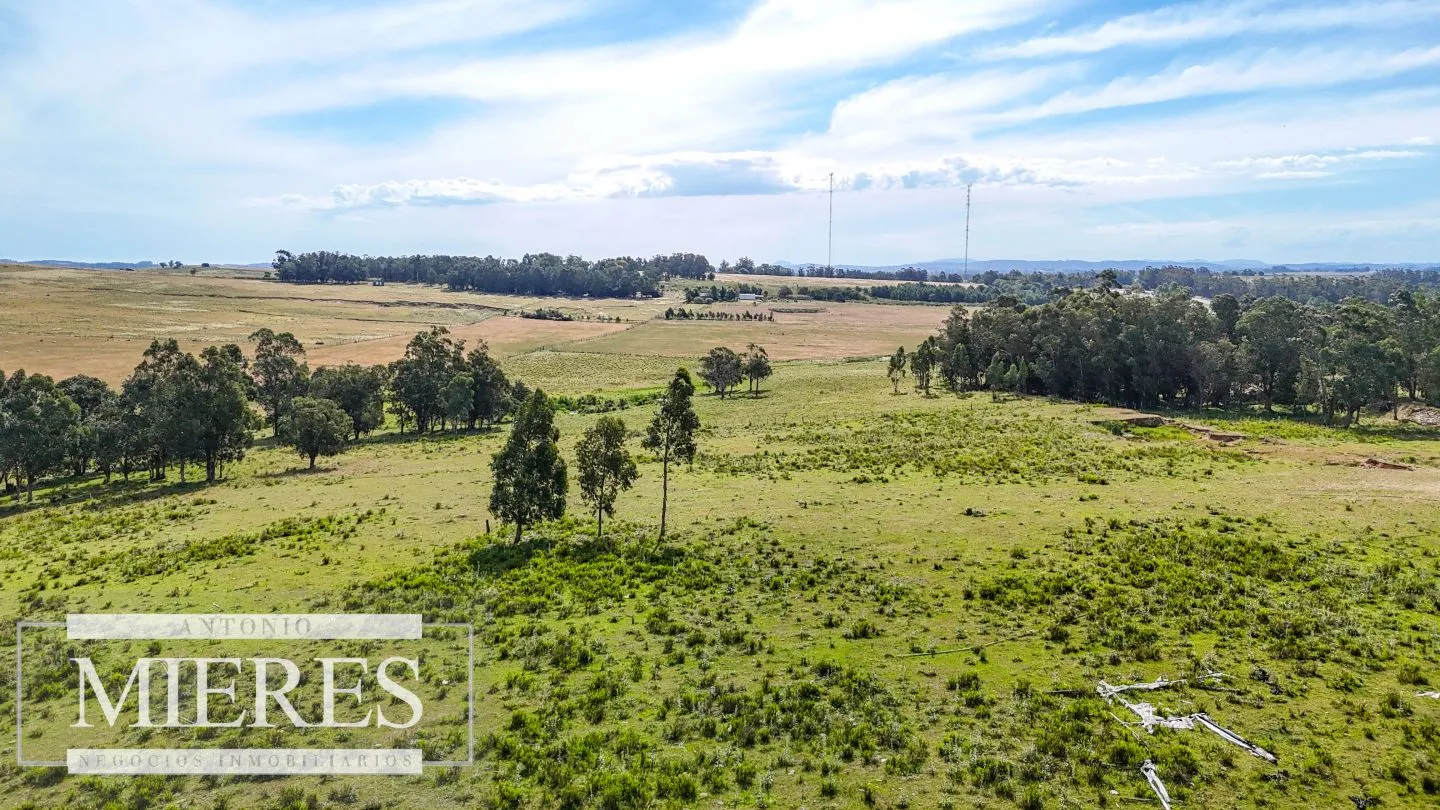 Campo en venta de 59 ha sobre ruta 9 a 15 min de José Ignacio — foto 6