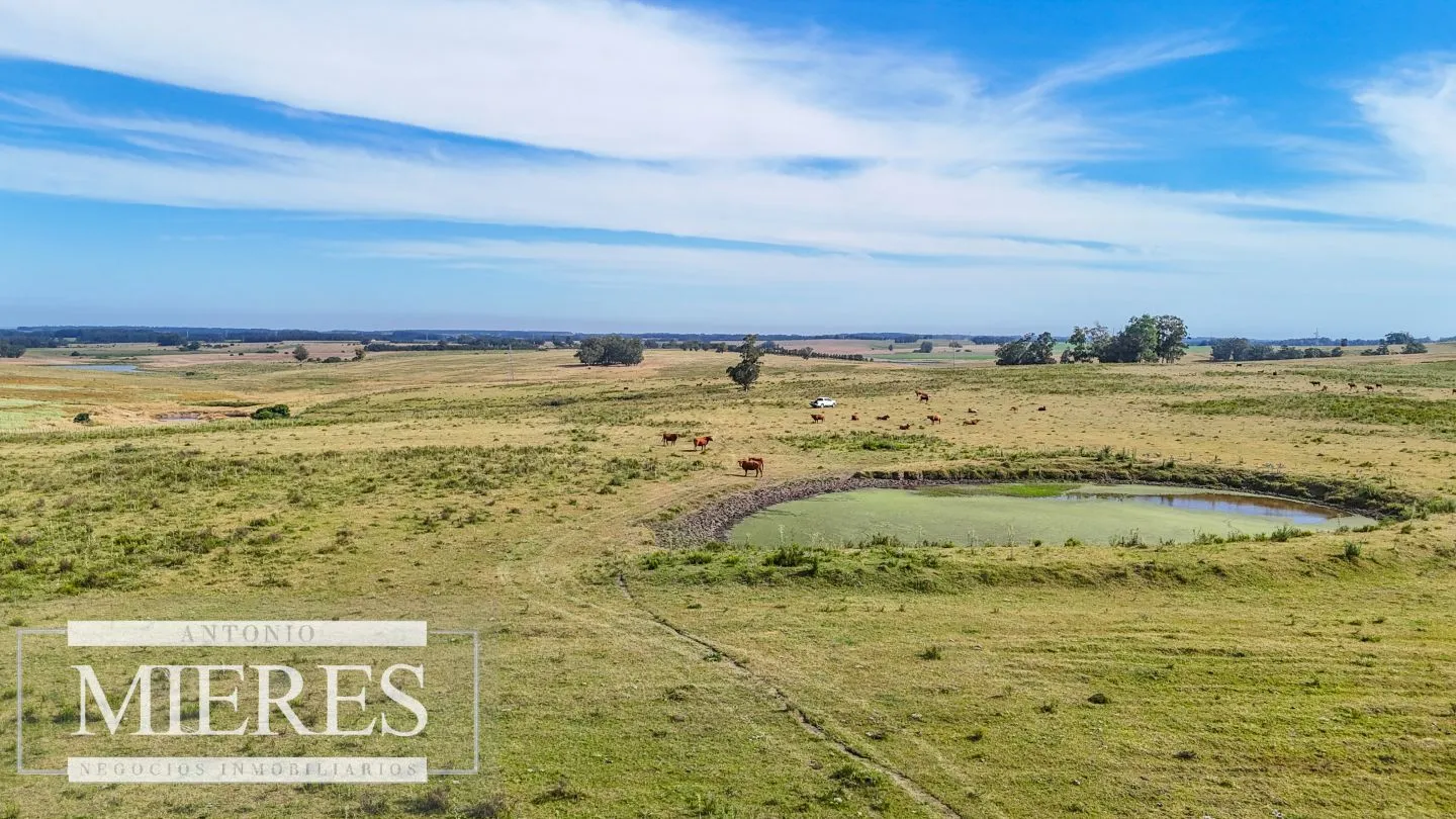 Campo en venta de 59 ha sobre ruta 9 a 15 min de José Ignacio — foto 7