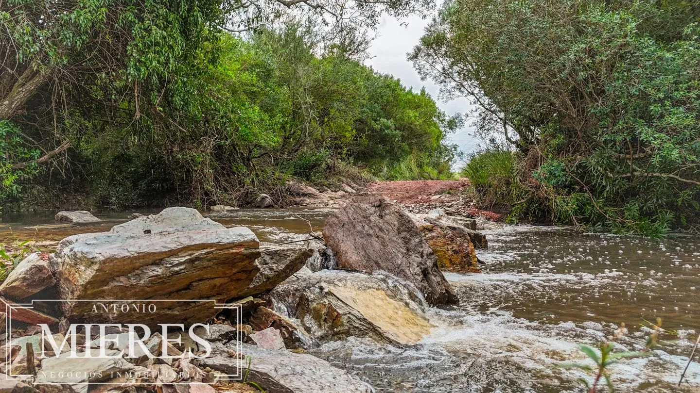 Campo de 32 ha panorámico con arroyo en Maldonado — foto 22