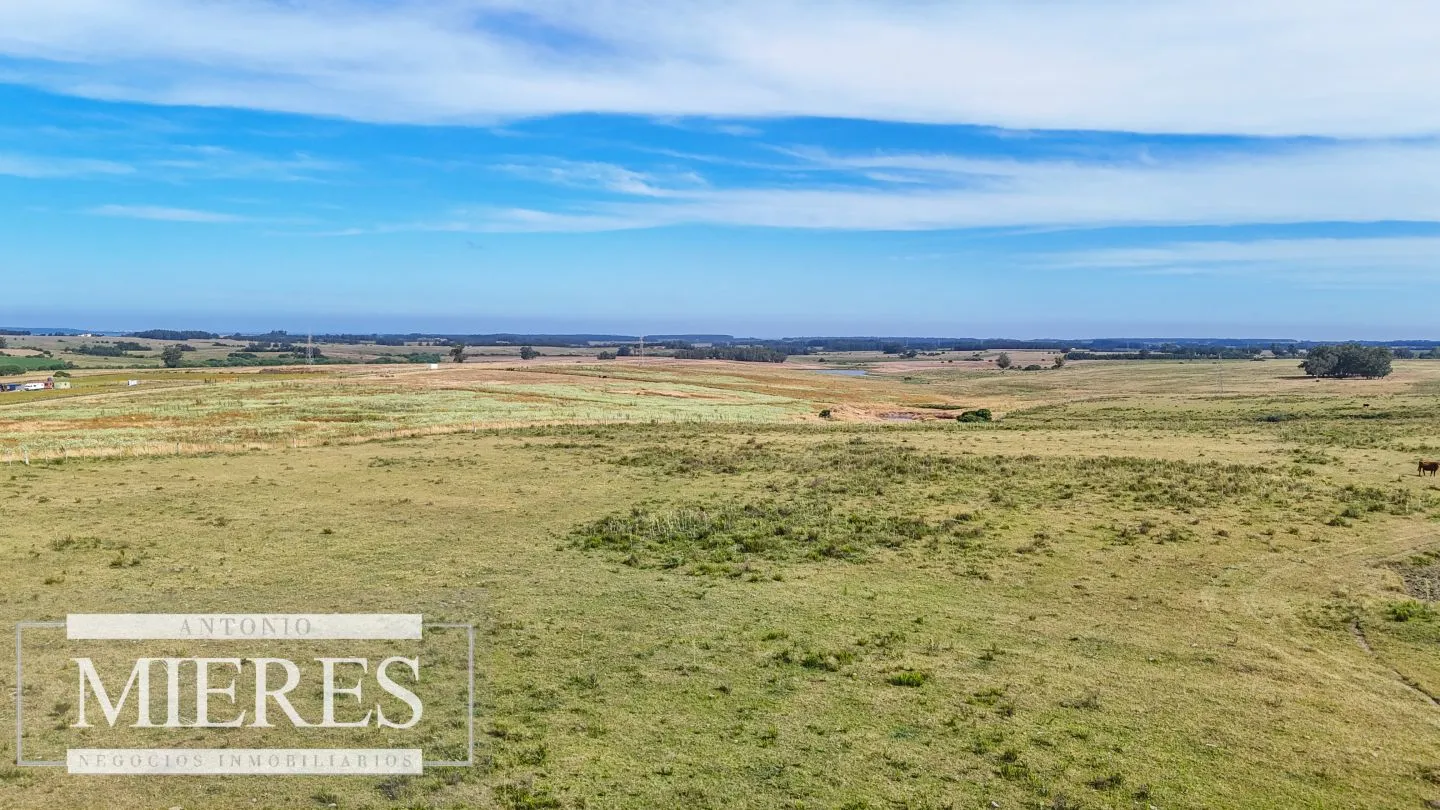Campo en venta de 59 ha sobre ruta 9 a 15 min de José Ignacio — foto 8