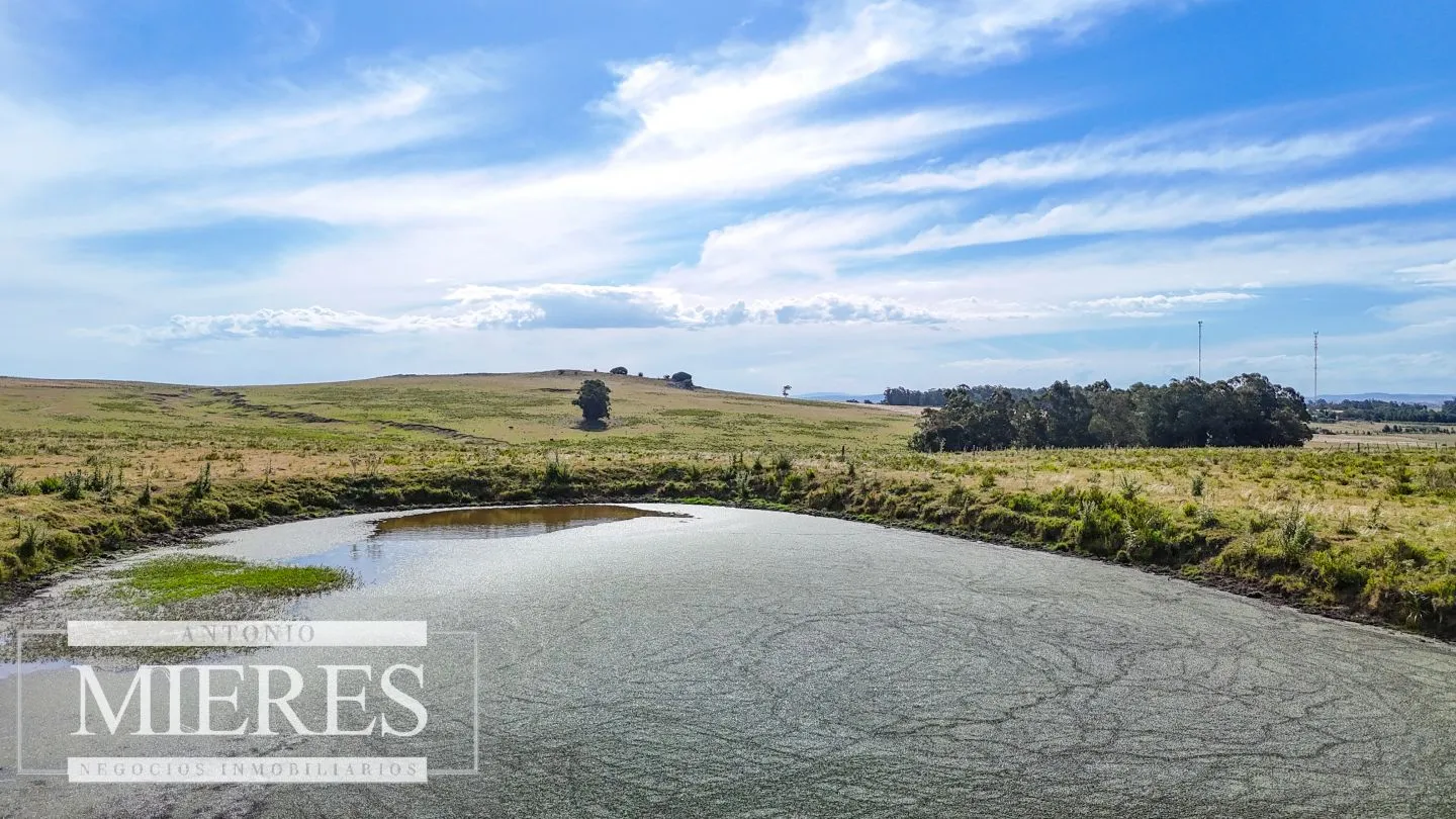 Campo en venta de 59 ha sobre ruta 9 a 15 min de José Ignacio — foto 10