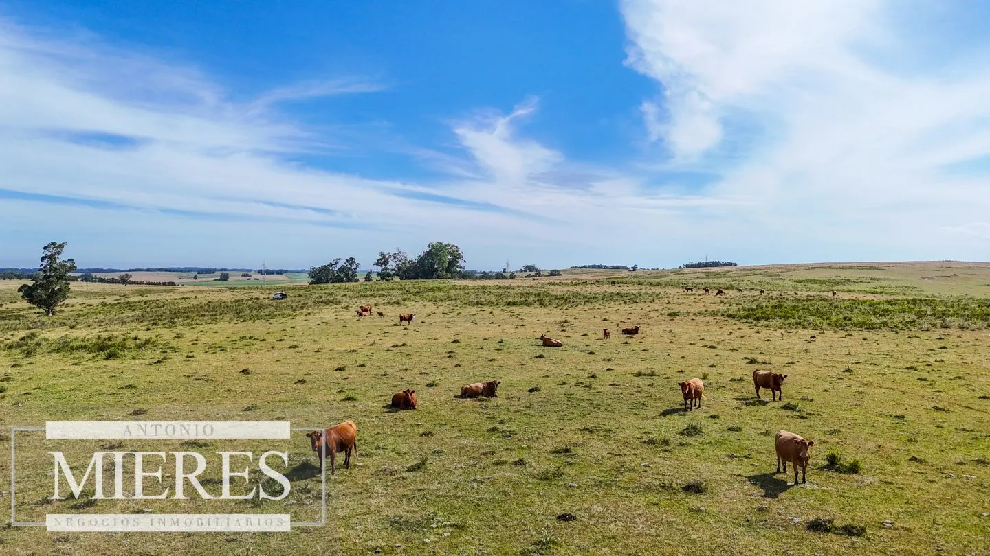Campo en venta de 59 ha sobre ruta 9 a 15 min de José Ignacio — foto 11