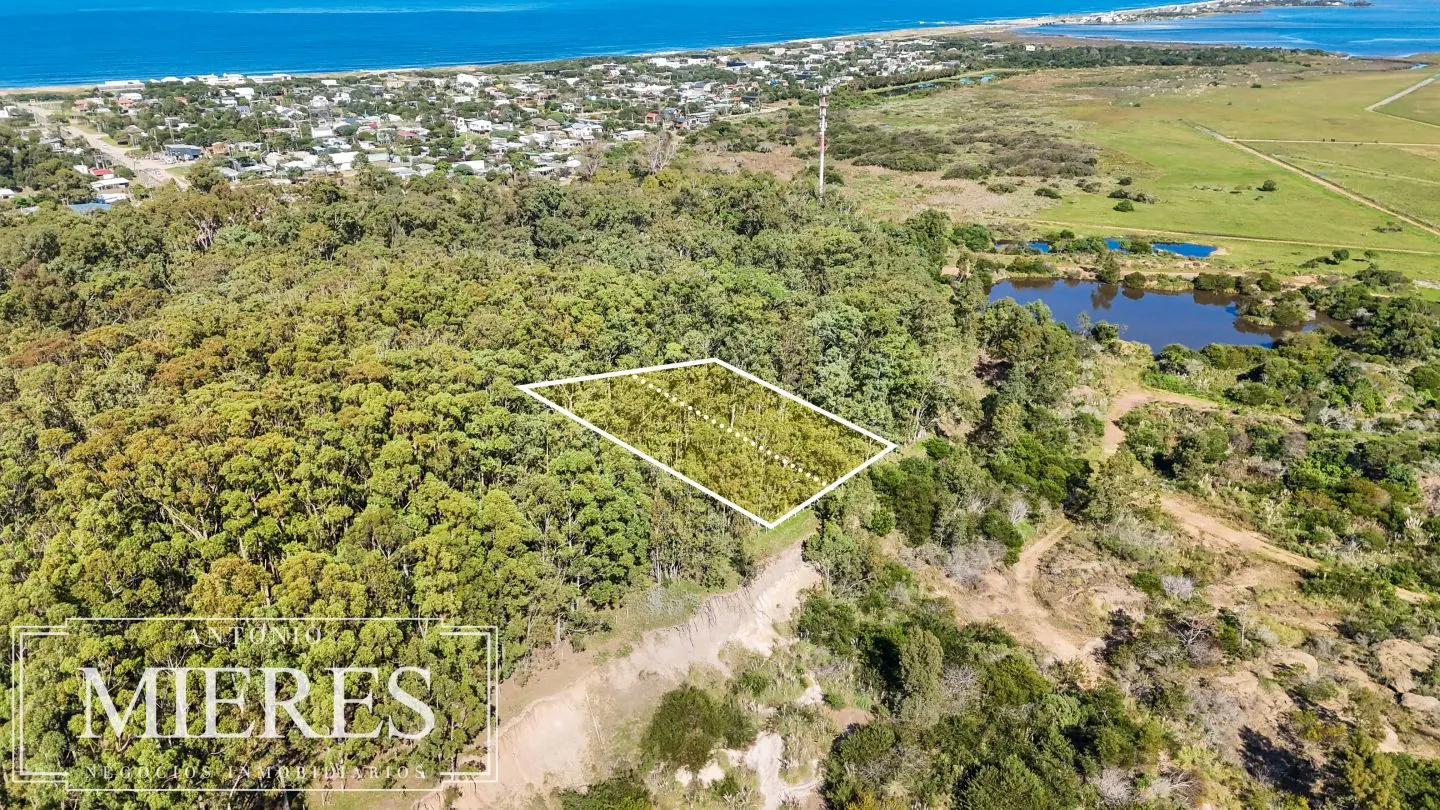 Venta lote 1161m2 en La Juanita c/ vista laguna y Medellin del faro — foto 2