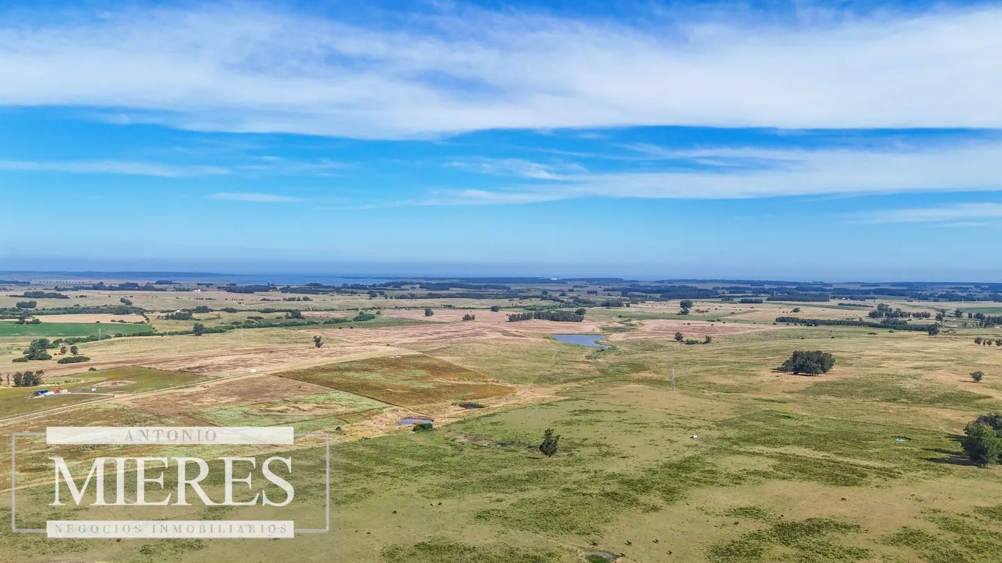 Campo en venta de 59 ha sobre ruta 9 a 15 min de José Ignacio — foto 12