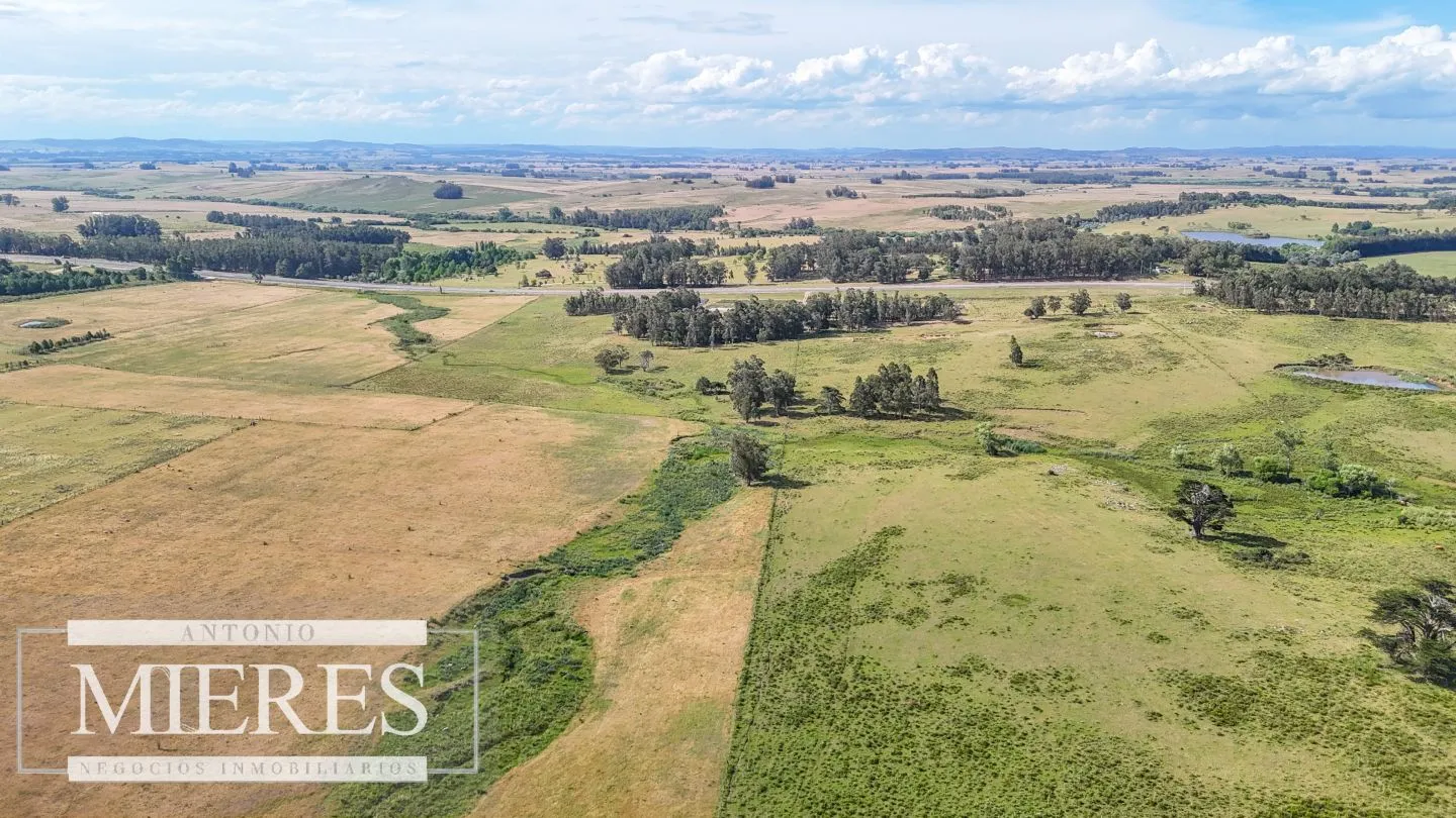 Campo en venta de 59 ha sobre ruta 9 a 15 min de José Ignacio — foto 13